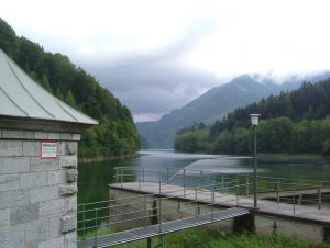 DSCF1913